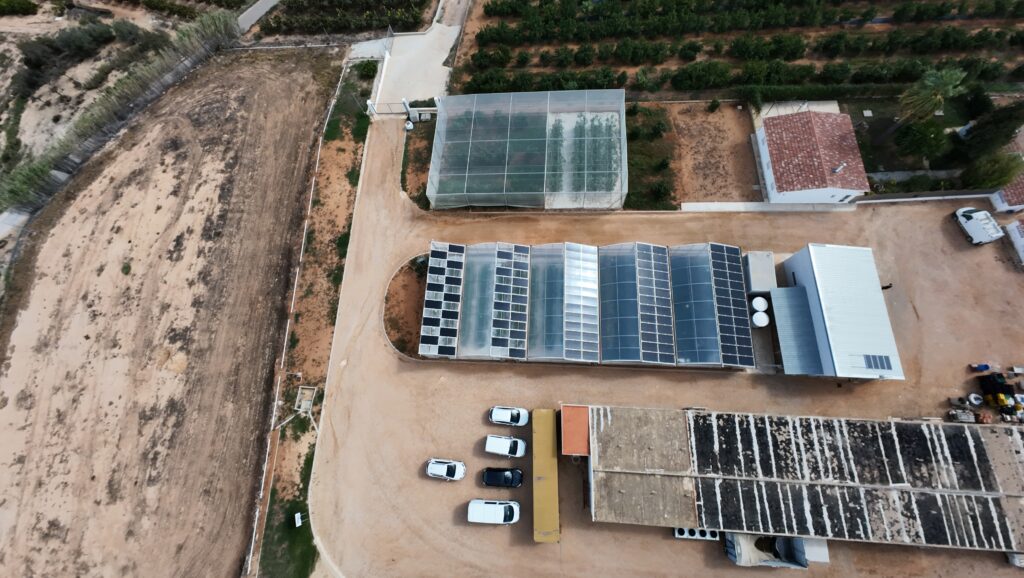 202503Marzo07-Avances-sitio piloto de Picassent-EnergíaSolar-Agrivoltaica-02