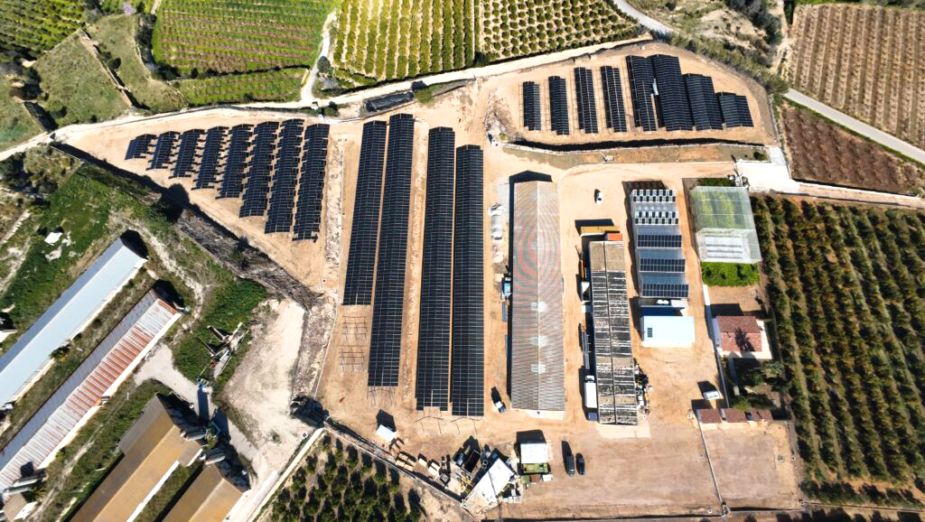 202503Marzo07-Avances-sitio piloto de Picassent-EnergíaSolar-Agrivoltaica-07