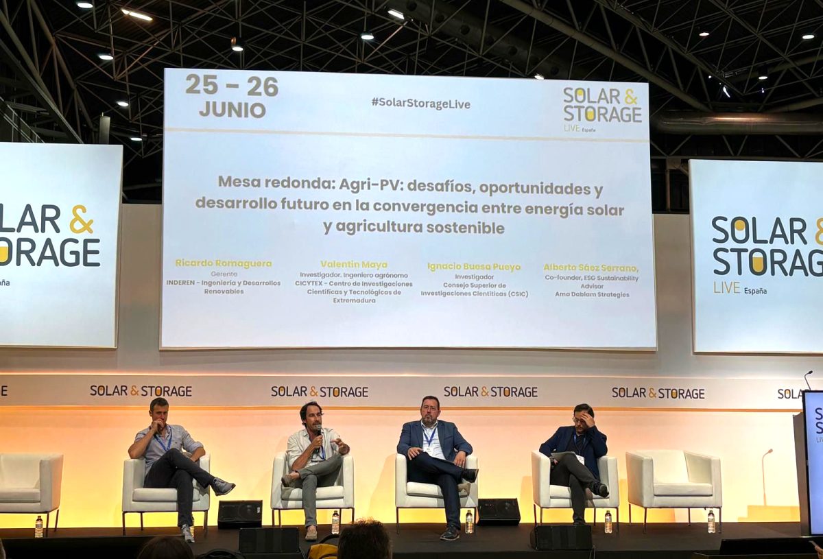 CEO de INDEREN mesa redonda de Solar & Storage Live España-01