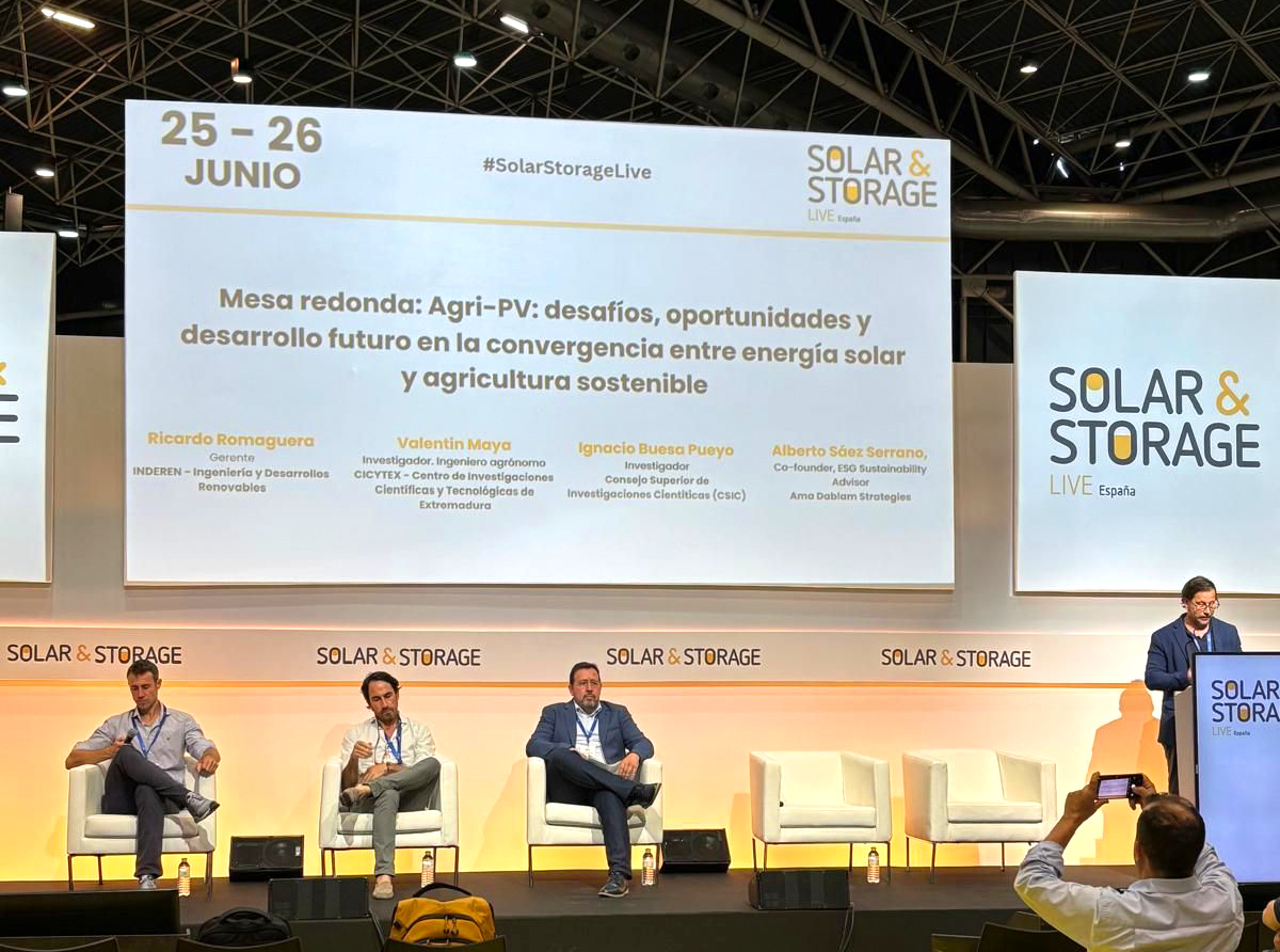 CEO de INDEREN mesa redonda de Solar & Storage Live España-02