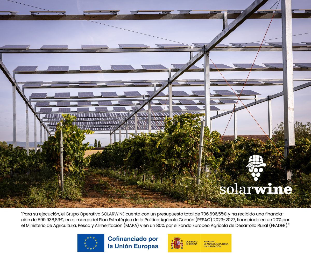 SolarWine_RRSS_Septiembre2025_Slide1.2 1-edit-small