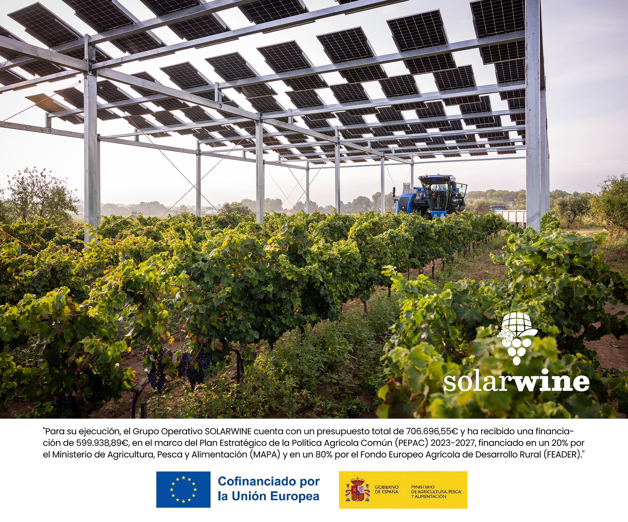 SolarWine_RRSS_Septiembre2025_Slide1.2 1-edit
